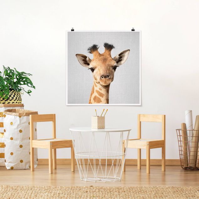 Nowoczesne obrazy Baby Giraffe Gandalf