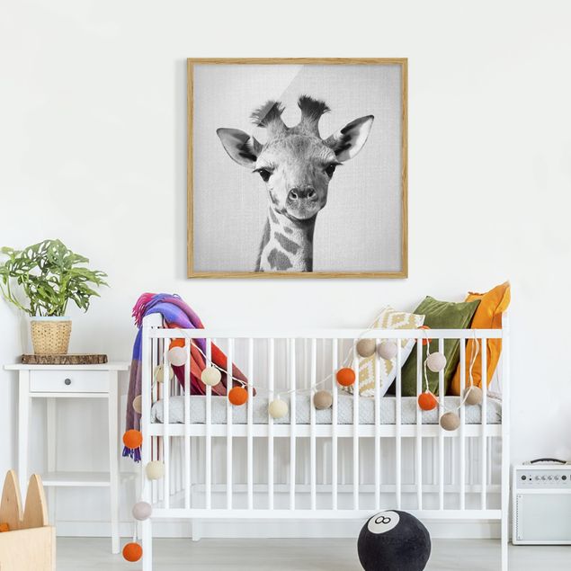 Obrazy w ramie dla dzieci Baby Giraffe Gandalf Black And White