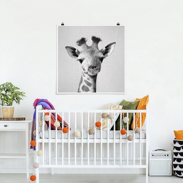 Obrazy do salonu Baby Giraffe Gandalf Black And White