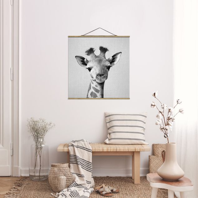 Obrazy nowoczesny Baby Giraffe Gandalf Black And White