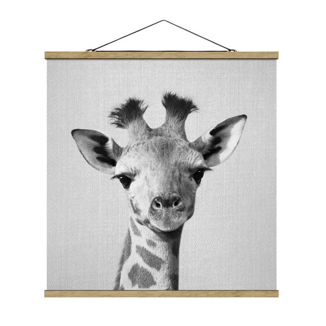 Obrazy ze zwierzętami Baby Giraffe Gandalf Black And White
