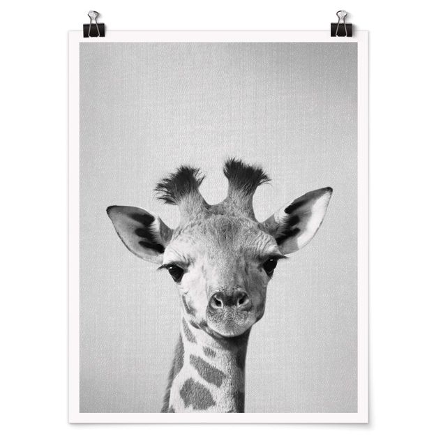 Obrazy zwierzęta Baby Giraffe Gandalf Black And White