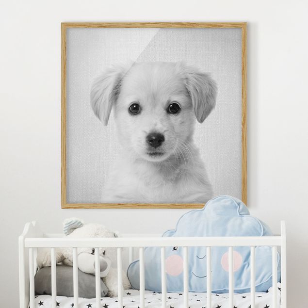 Pokój dziecięcy Baby Golden Retriever Gizmo Black And White