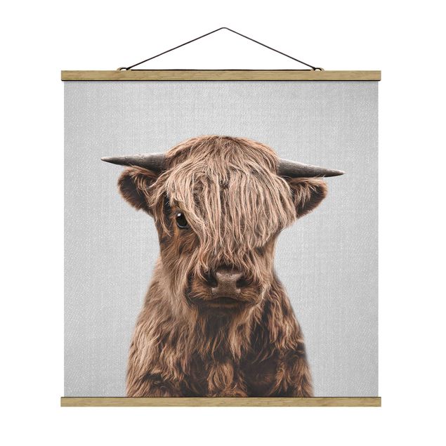 Obrazy zwierzęta Baby Highland Cow Henri