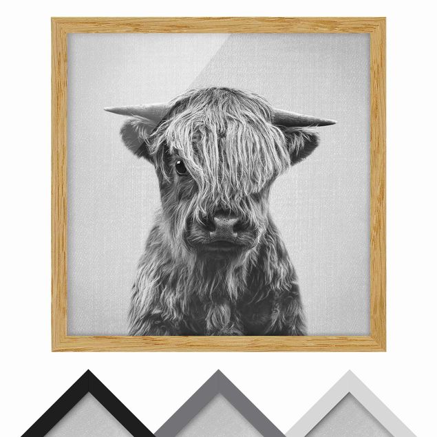 Zwierzęta obrazy Baby Highland Cow Henri Black And White