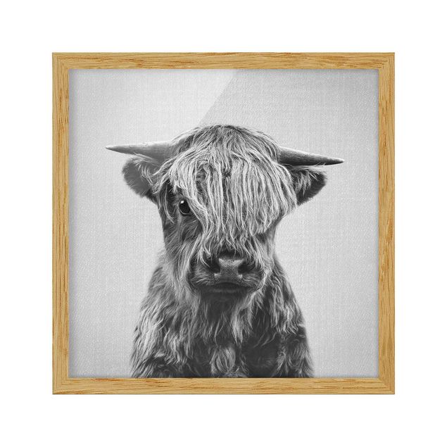Obrazy do salonu nowoczesne Baby Highland Cow Henri Black And White