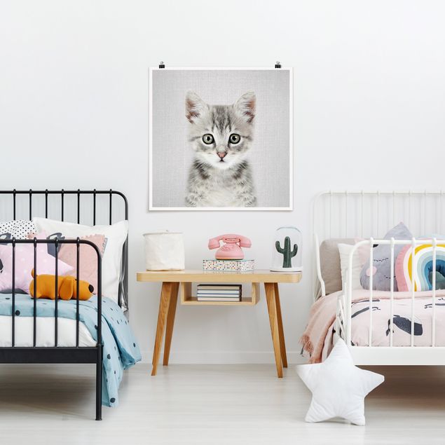 Obrazy nowoczesne Baby Cat Killi