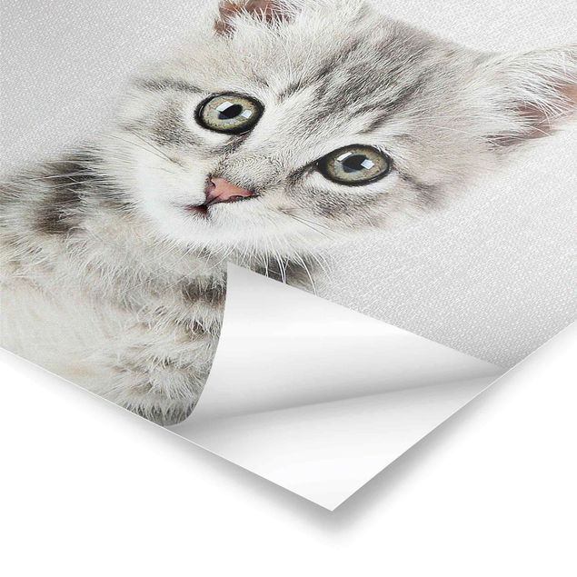 Plakaty czarno białe Baby Cat Killi