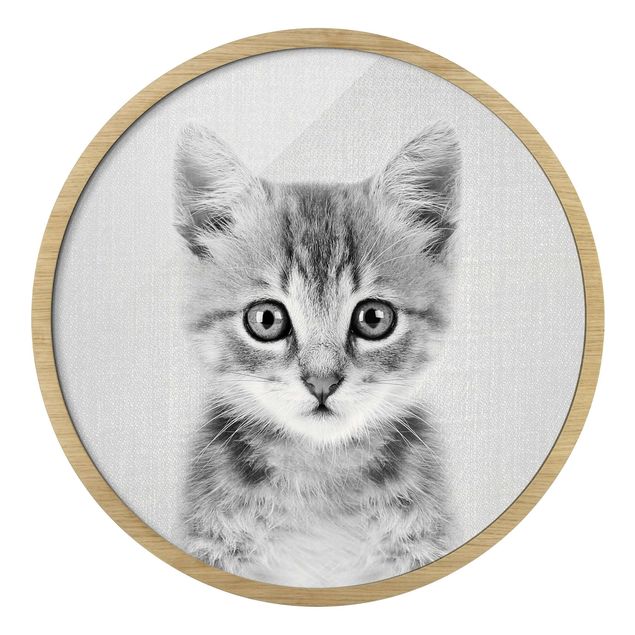 Obrazy w ramie zwierzęta Mały kotek Killi czarno-biały