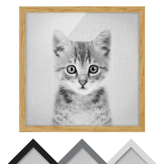 Nowoczesne obrazy Baby Cat Killi Black And White