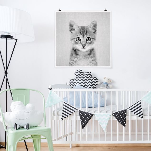 Obrazy do salonu nowoczesne Baby Cat Killi Black And White
