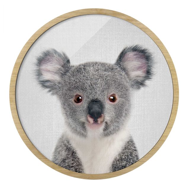 Obrazy do salonu Mała koala Klara