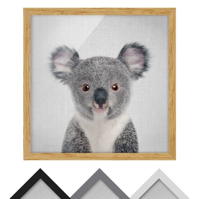 Obrazy zwierzęta Baby Koala Klara
