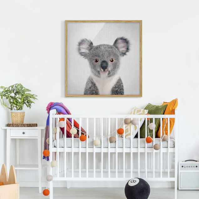 Obrazy w ramie zwierzęta Baby Koala Klara