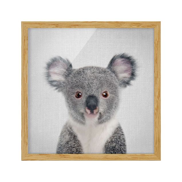 Obrazy do salonu Baby Koala Klara