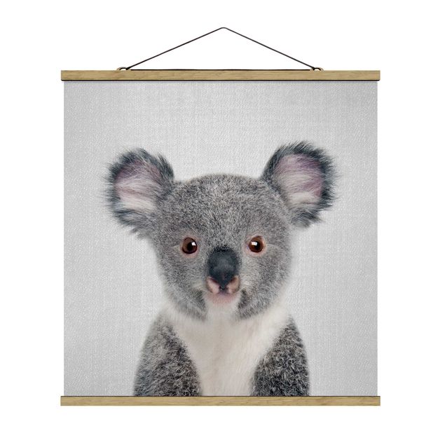 Obrazy ze zwierzętami Baby Koala Klara