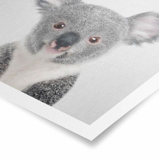 Obrazki czarno białe Baby Koala Klara