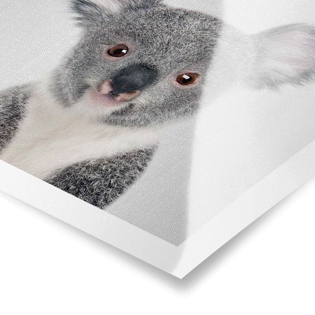 Czarno białe plakaty Baby Koala Klara