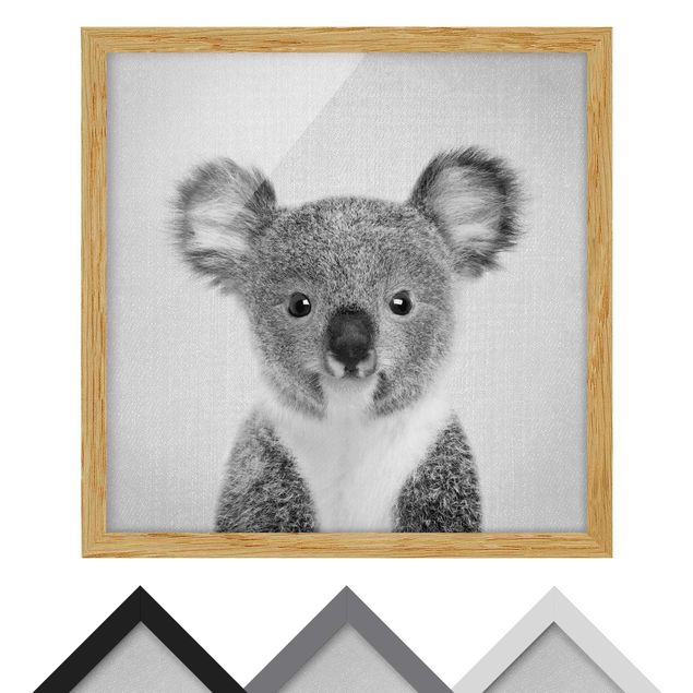 Obrazy zwierzęta Baby Koala Klara Black And White