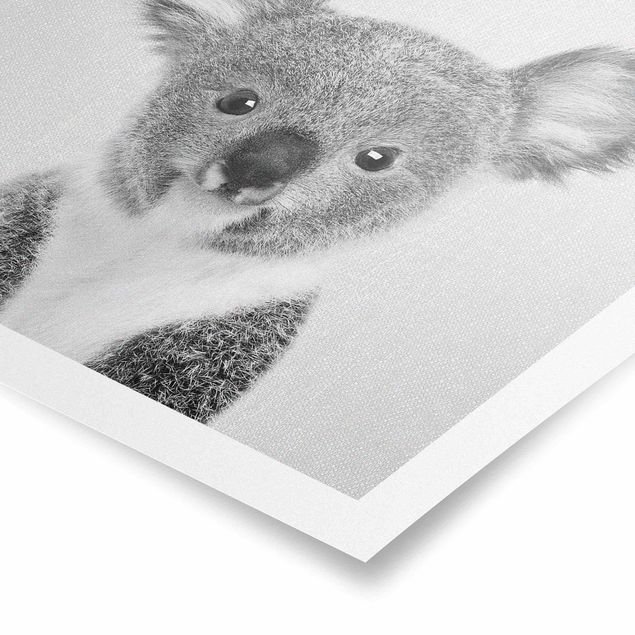 Obrazki czarno białe Baby Koala Klara Black And White