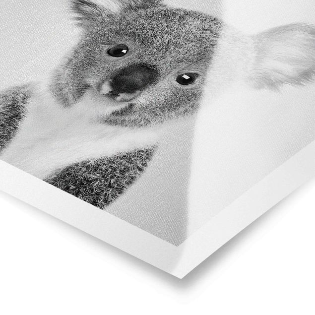 Czarno białe plakaty Baby Koala Klara Black And White