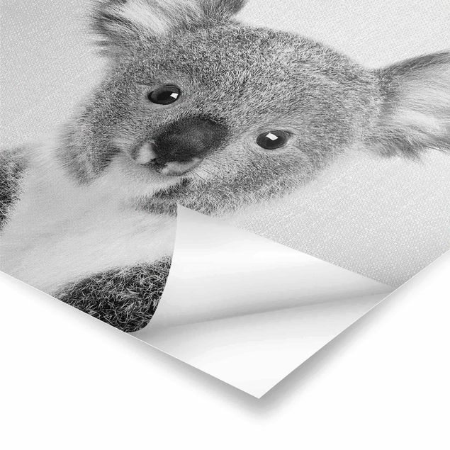 Obrazy Baby Koala Klara Black And White