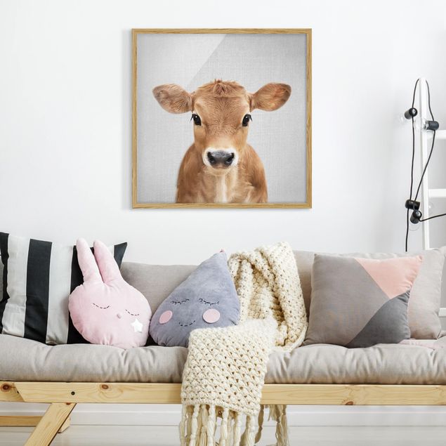 Obrazy w ramie zwierzęta Baby Cow Kira