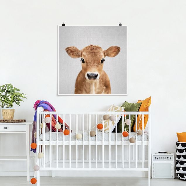 Obrazy do salonu Baby Cow Kira