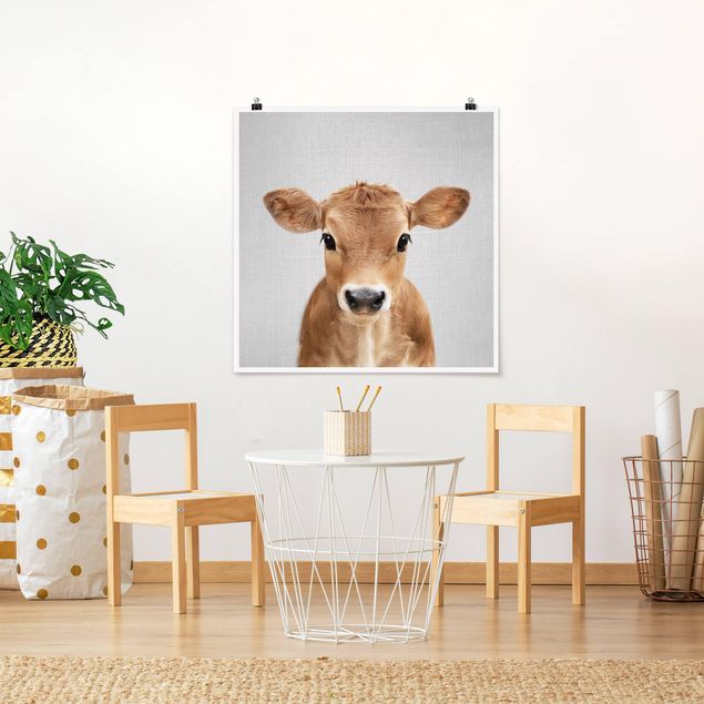 Obrazy nowoczesne Baby Cow Kira