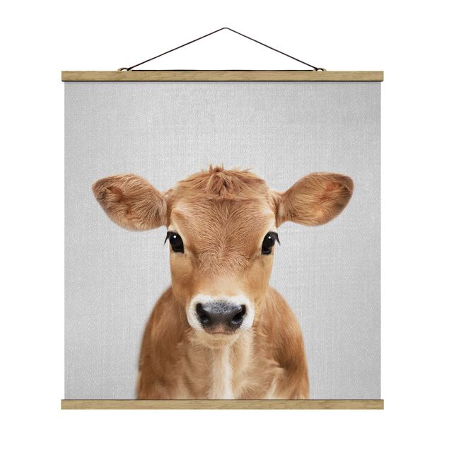 Obrazy zwierzęta Baby Cow Kira