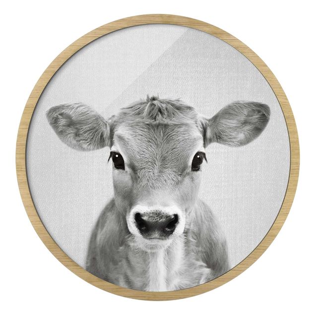 Obrazy do salonu nowoczesne Mała krowa Kira czarno-biały