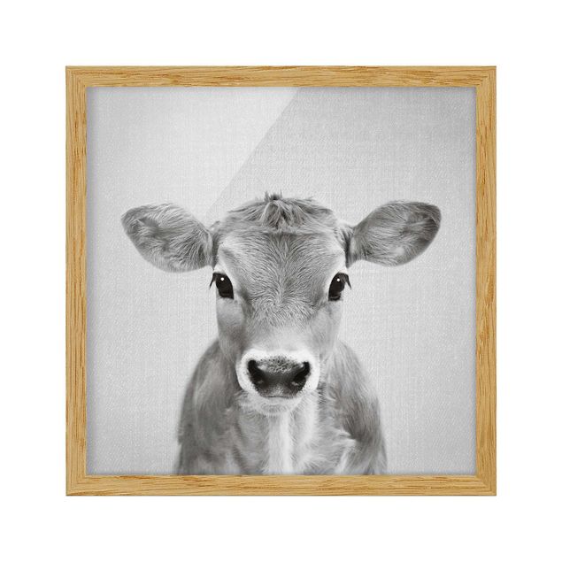Obrazy do salonu Baby Cow Kira Black And White