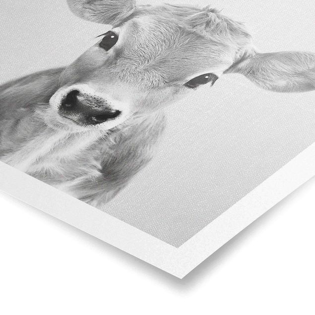 Czarno białe obrazy Baby Cow Kira Black And White