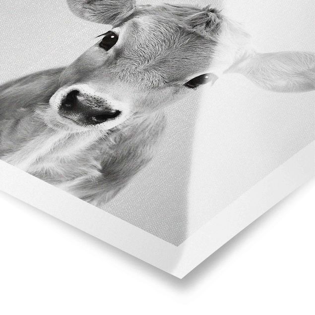 Plakaty czarno białe Baby Cow Kira Black And White