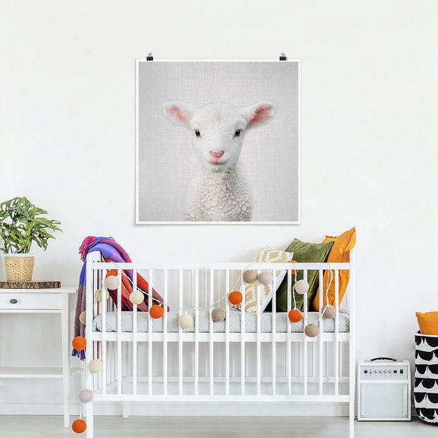 Obrazy nowoczesne Baby Lamb Lina