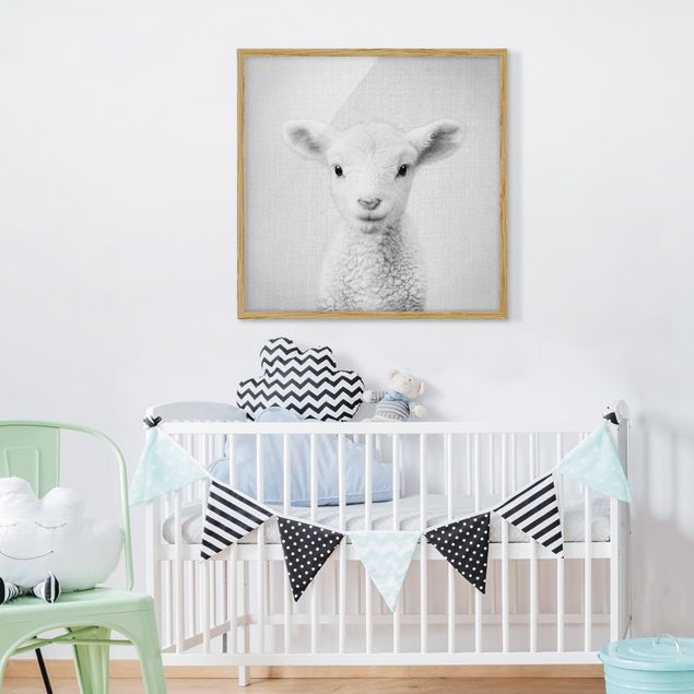 Obrazy w ramie zwierzęta Baby Lamb Lina Black And White