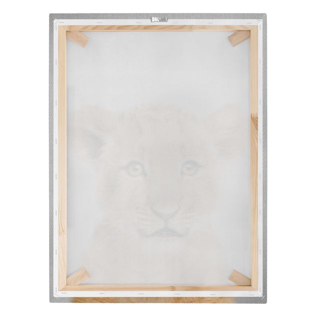 Obrazy lwa na płótnie Baby Lion Luca