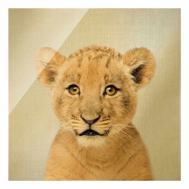 Obrazy na szkle zwierzęta Baby Lion Luca