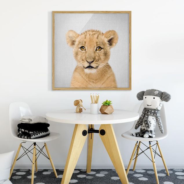 Obraz lwa Baby Lion Luca