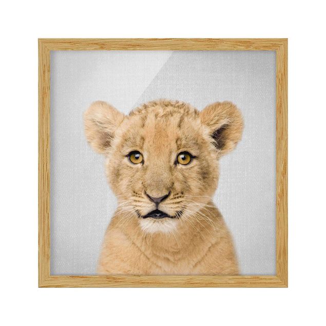 Obrazy w ramie zwierzęta Baby Lion Luca