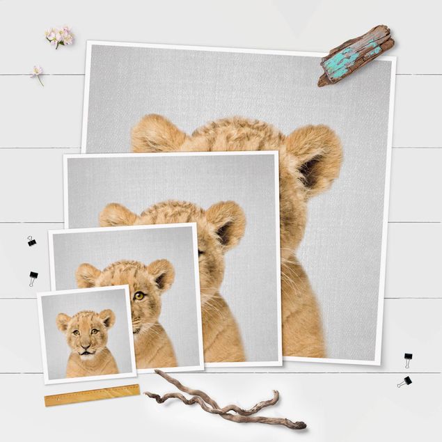 Obrazy na ścianę Baby Lion Luca