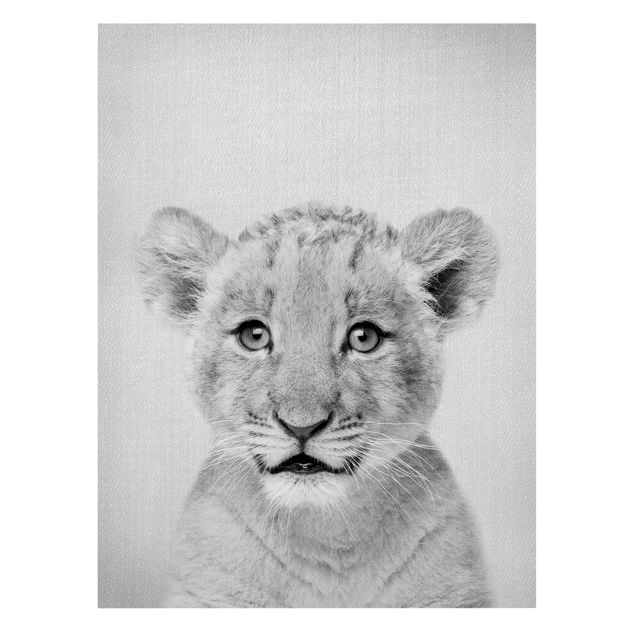 Lew obraz Baby Lion Luca Black And White
