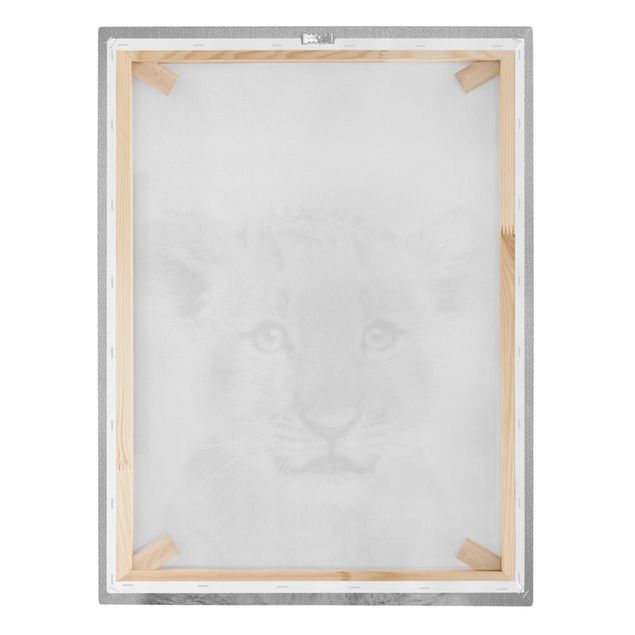 Obrazy lwa na płótnie Baby Lion Luca Black And White