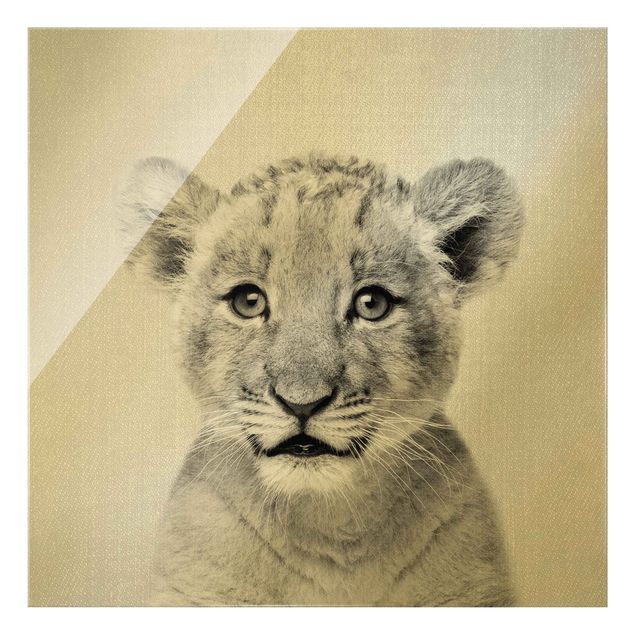 Obrazy na szkle zwierzęta Baby Lion Luca Black And White