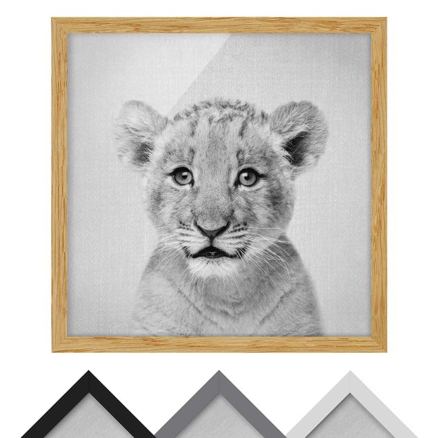 Nowoczesne obrazy Baby Lion Luca Black And White