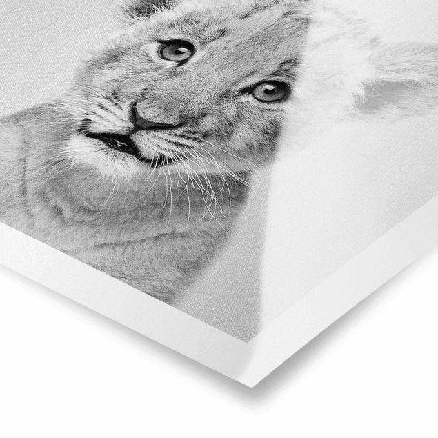 Obrazki czarno białe Baby Lion Luca Black And White