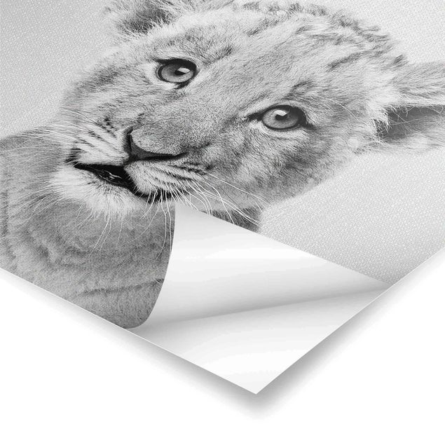 Czarno białe plakaty Baby Lion Luca Black And White