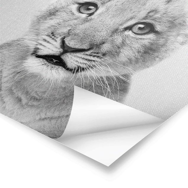 Czarno białe plakaty Baby Lion Luca Black And White