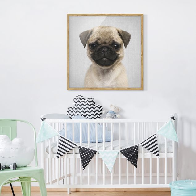 Obrazy w ramie dla dzieci Baby Pug Moritz
