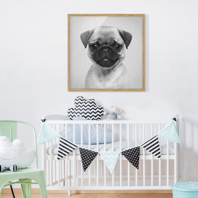 Pies obraz Baby Pug Moritz Black And White